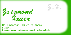 zsigmond hauer business card
